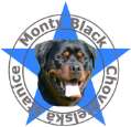 MONTY BLACK